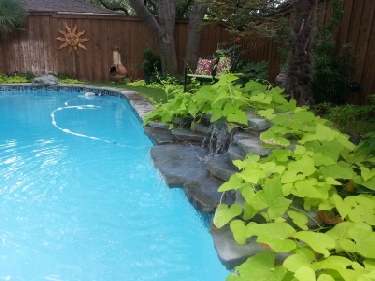 photo of pool serviced remodel replaster tile upgrade waterfall in Plano by Executive Pool Service