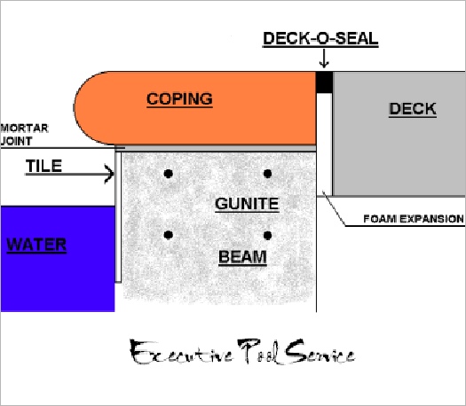 photo of cross section of deck o seal location between pool coping and deck by  Executive Pool Service